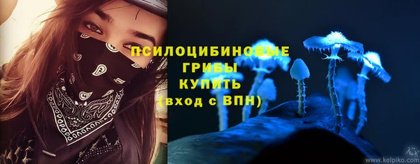 альфа пвп Нефтегорск