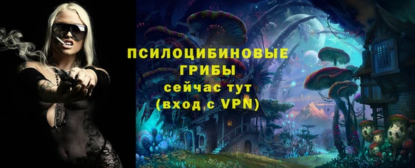 бошки Нефтекумск