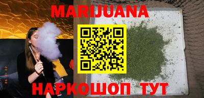 стаф Можга
