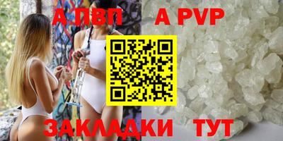 стаф Можга