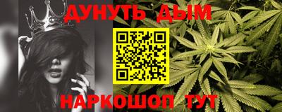 стаф Можга