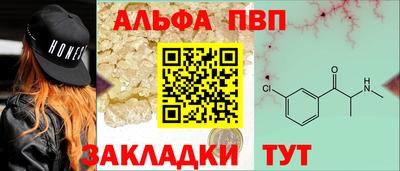 стаф Можга