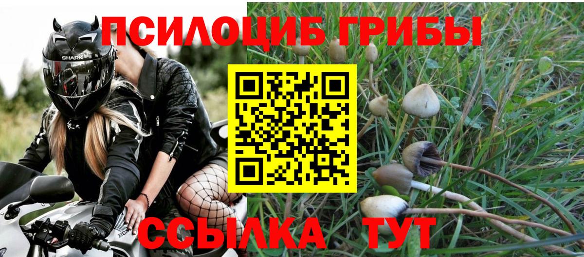 Псилоцибиновые грибы Psilocybe  Псилоцибиновые грибы Psilocybe  Вход с VPN  Новокузнецк 