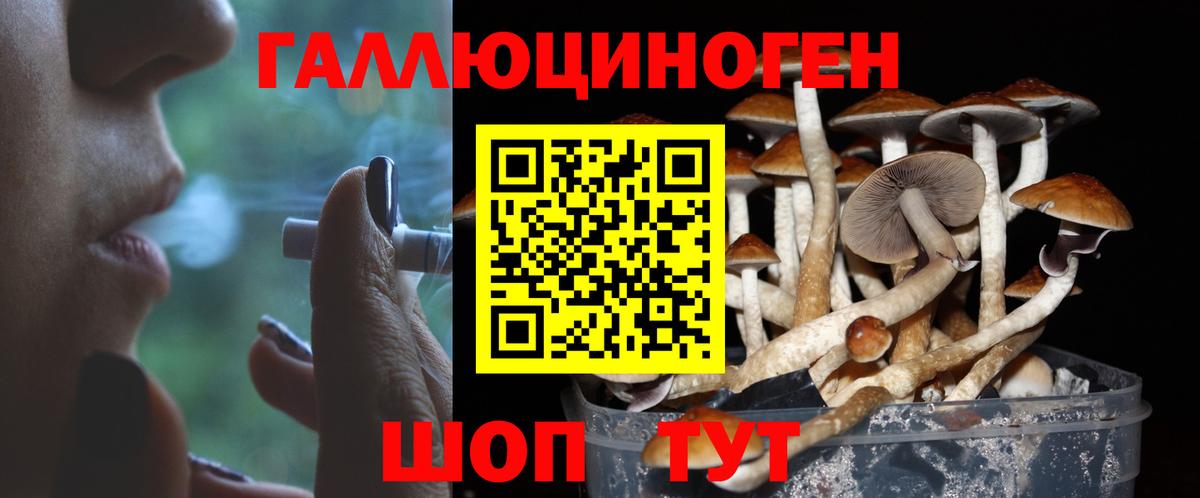 Псилоцибиновые грибы MAGIC MUSHROOMS Новокузнецк